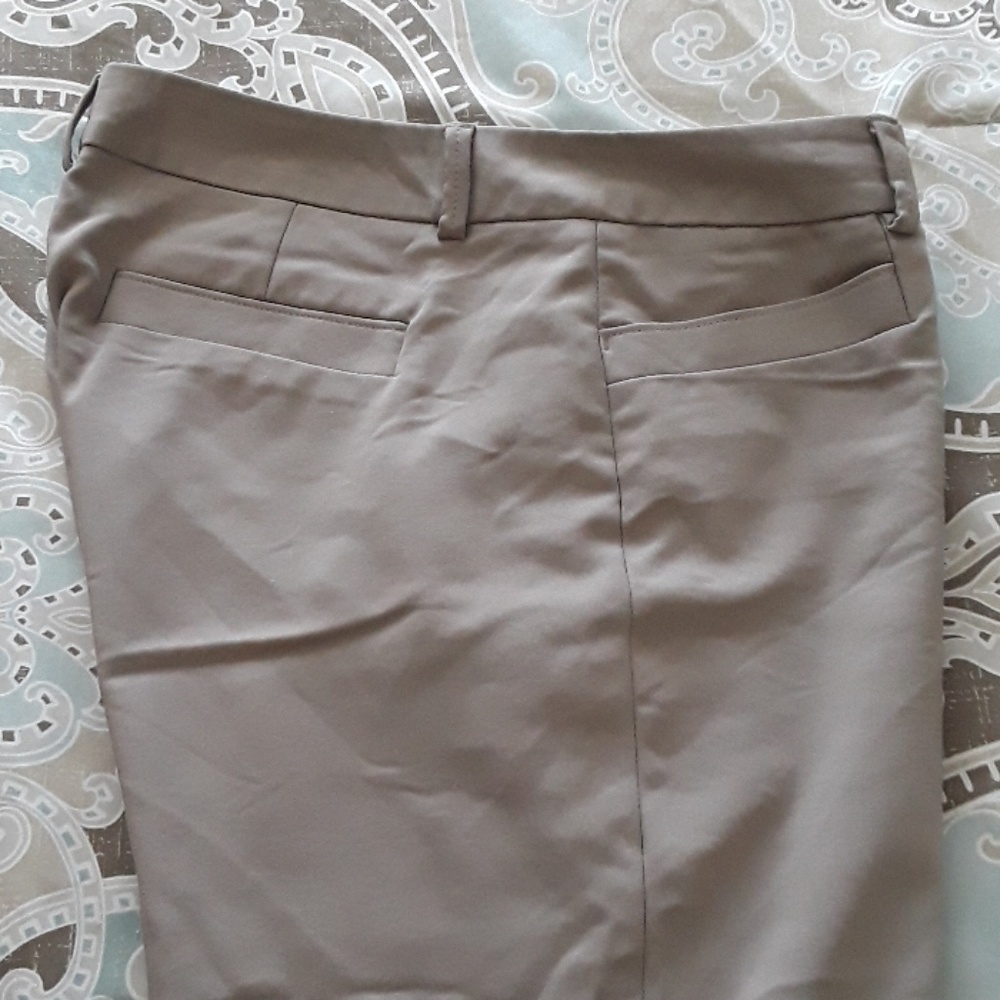 Express Columnist Pants